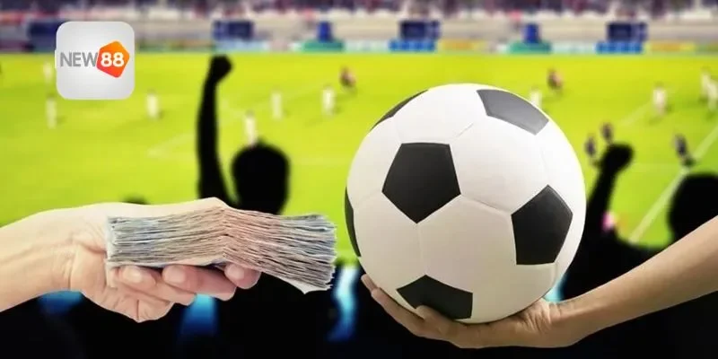 Nền tảng phát triển bền vững cho người chơi bóng đá trực tuyến